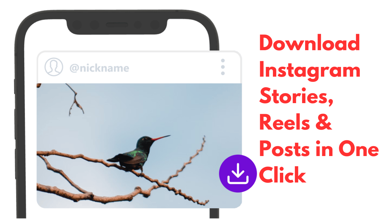 Sliders/bfgdf/1-Download Instagram Stories, Reels & Posts in One Click.png